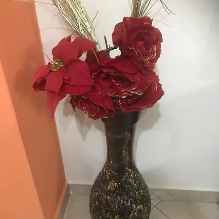 Gerasimos Hoyse * Vitina